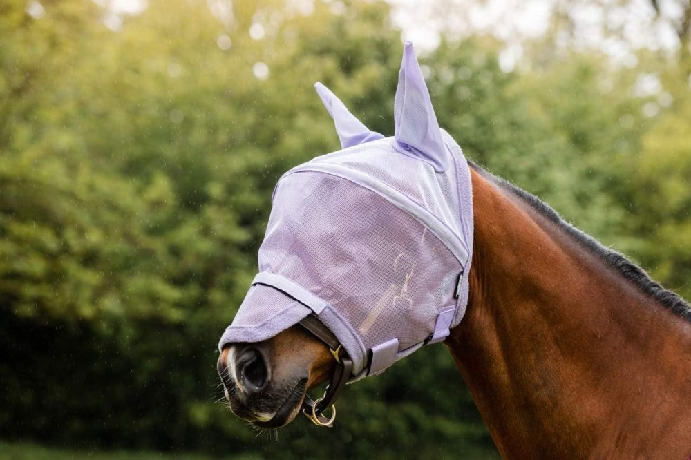 Rambo Plus Fly Cob Silver