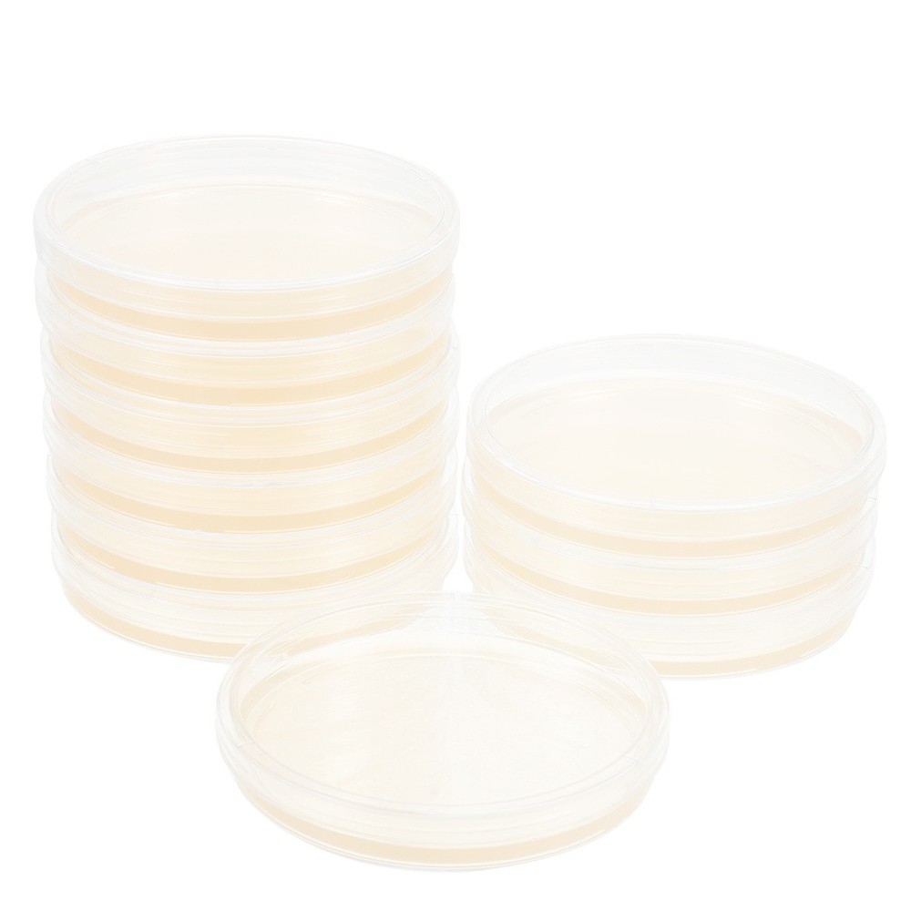 10 Pcs Prepoured Petri Dish Nutrient Agar Plate Extract