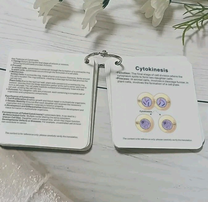 Cell Biology Pocket Sized Flashcards Study Guide Cellular Components Key Terms