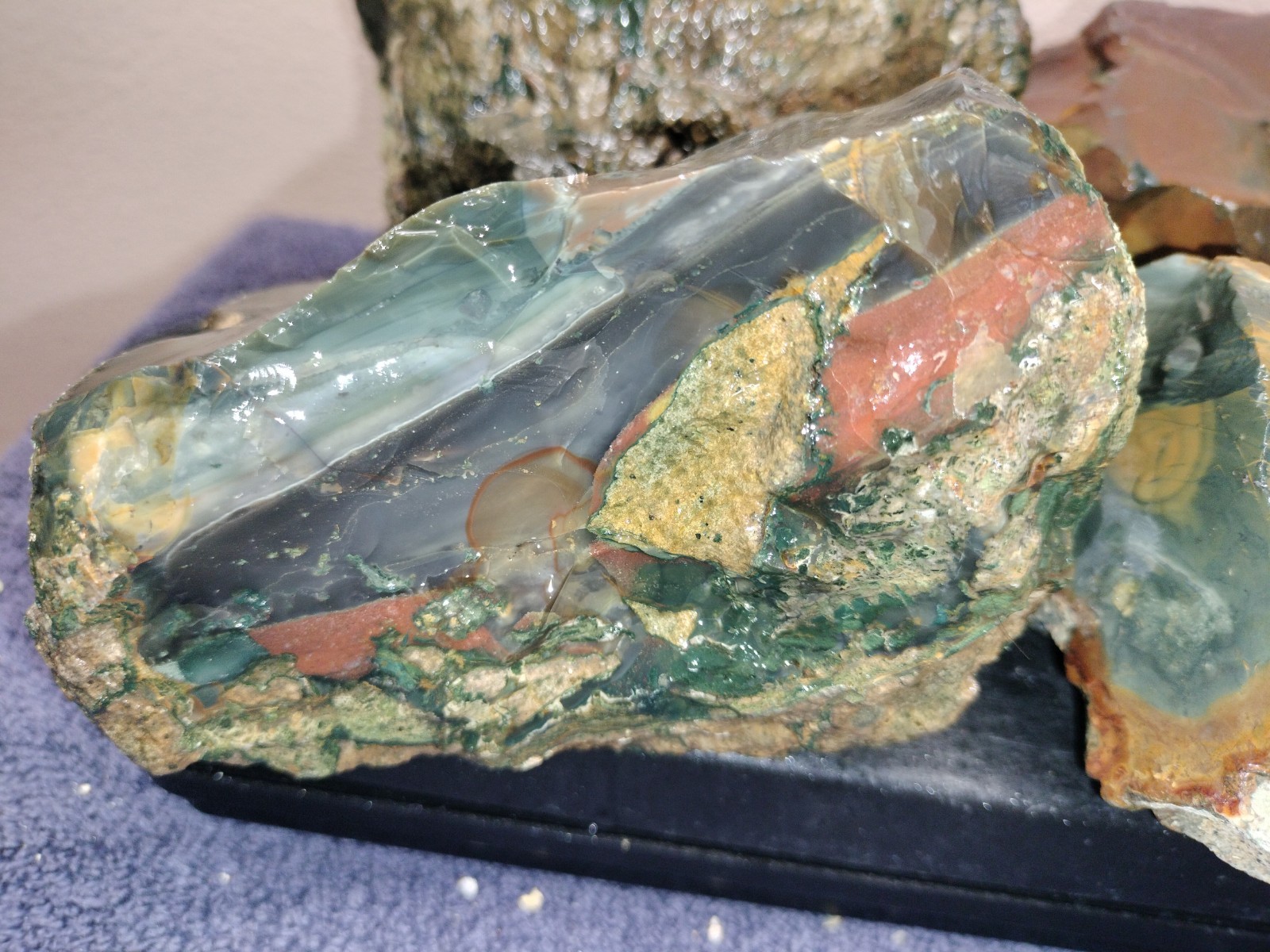 12LB ORBS Blue Mountain Picture of Jasper Rough 4pc Lot #21