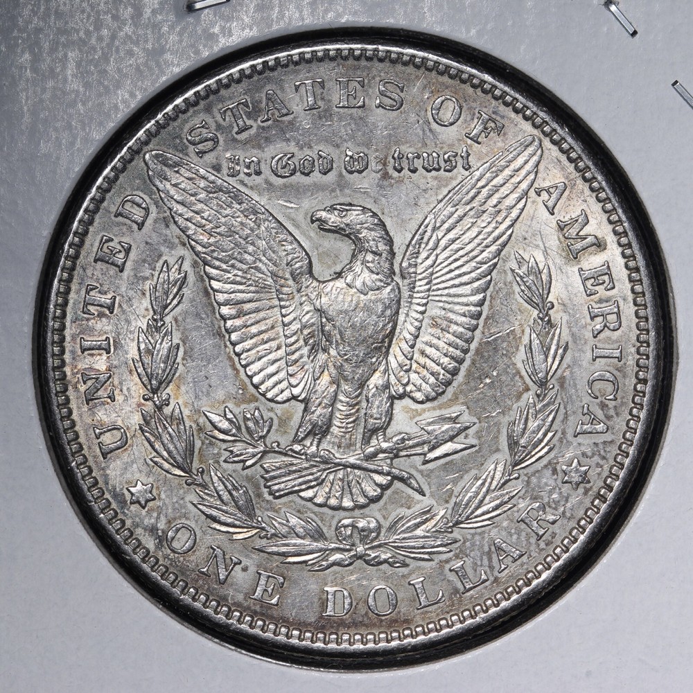 1900 Morgan Silver Dollar CHOICE UNC *UNCIRCULATED* MS E324 TEF