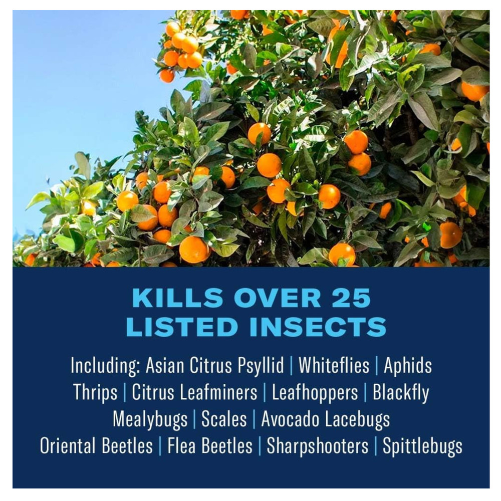BioAdvanced Fruit & Citrus Tree, Concentrate, 32 oz