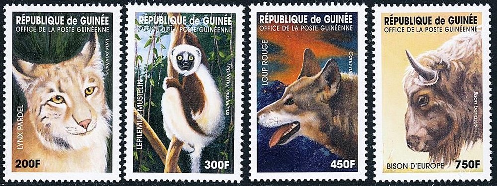 👉 GUINEA = ANIMALS MNH BIG CATS, WOLF, CATTLE, PRIMATES