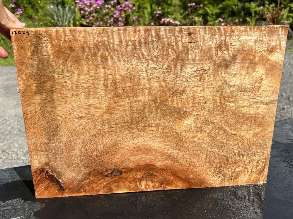 Hawaiian Curly Mango Board #12023
