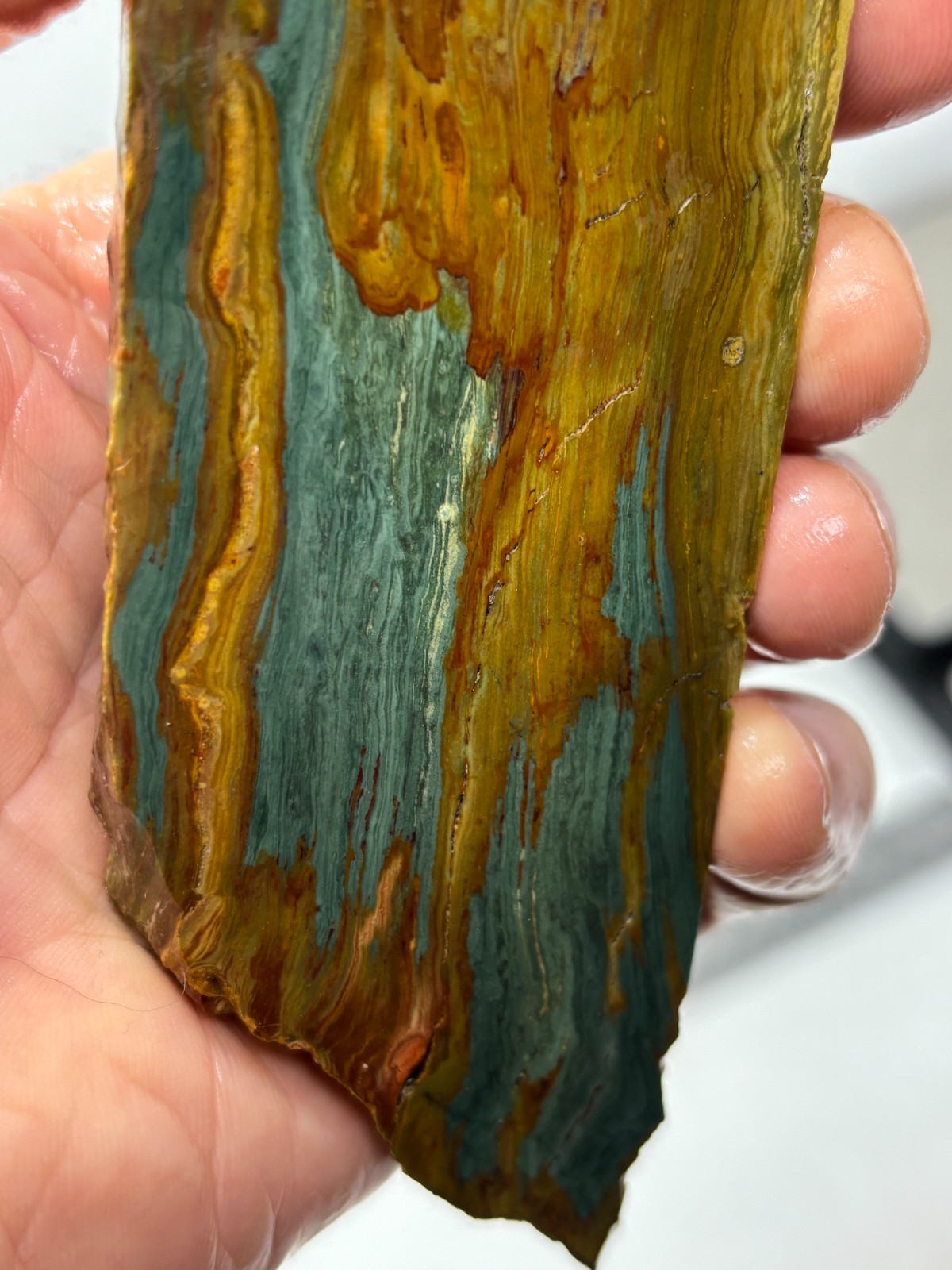 Gary Green Caldera Freedom Jasper Slab Cabbing Lapidary Combo Ship Avail