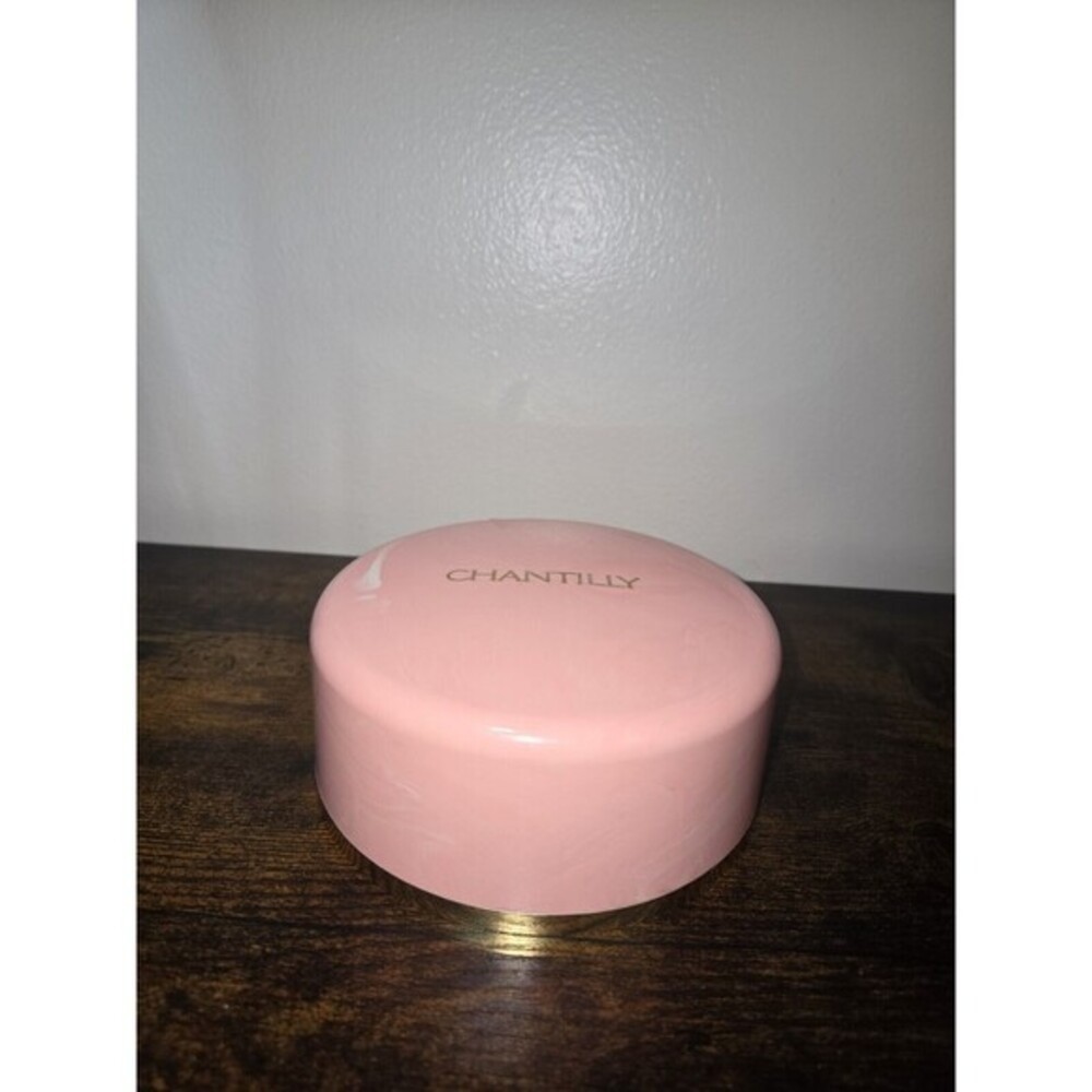 Vintage Chantilly Dusting Powder Box Solid Pink Plastic Case Empty