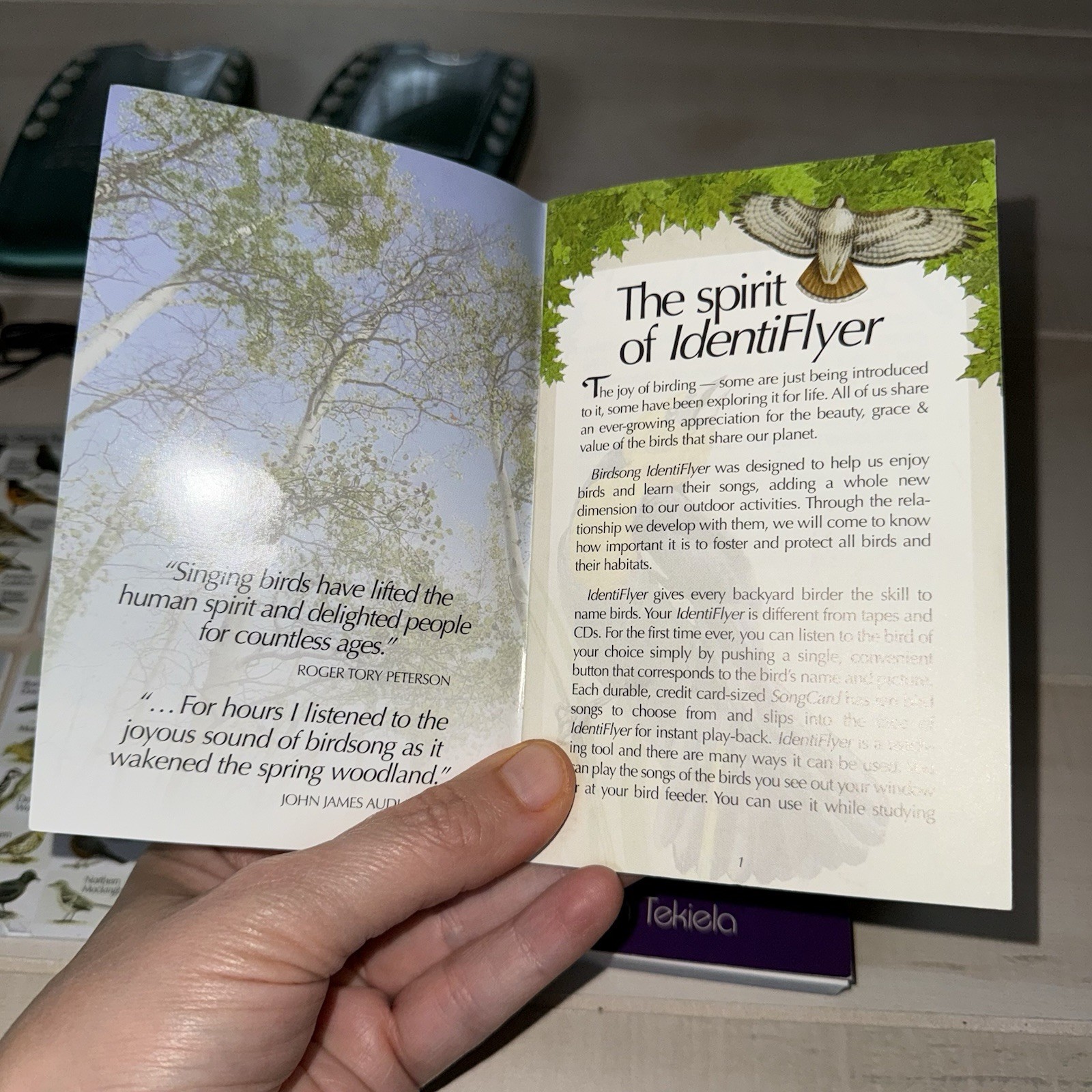 Lot 3 Bird Song IdentiFlyer ALL TESTED WORKING Yardbirds, Frogs, Night Bird Read