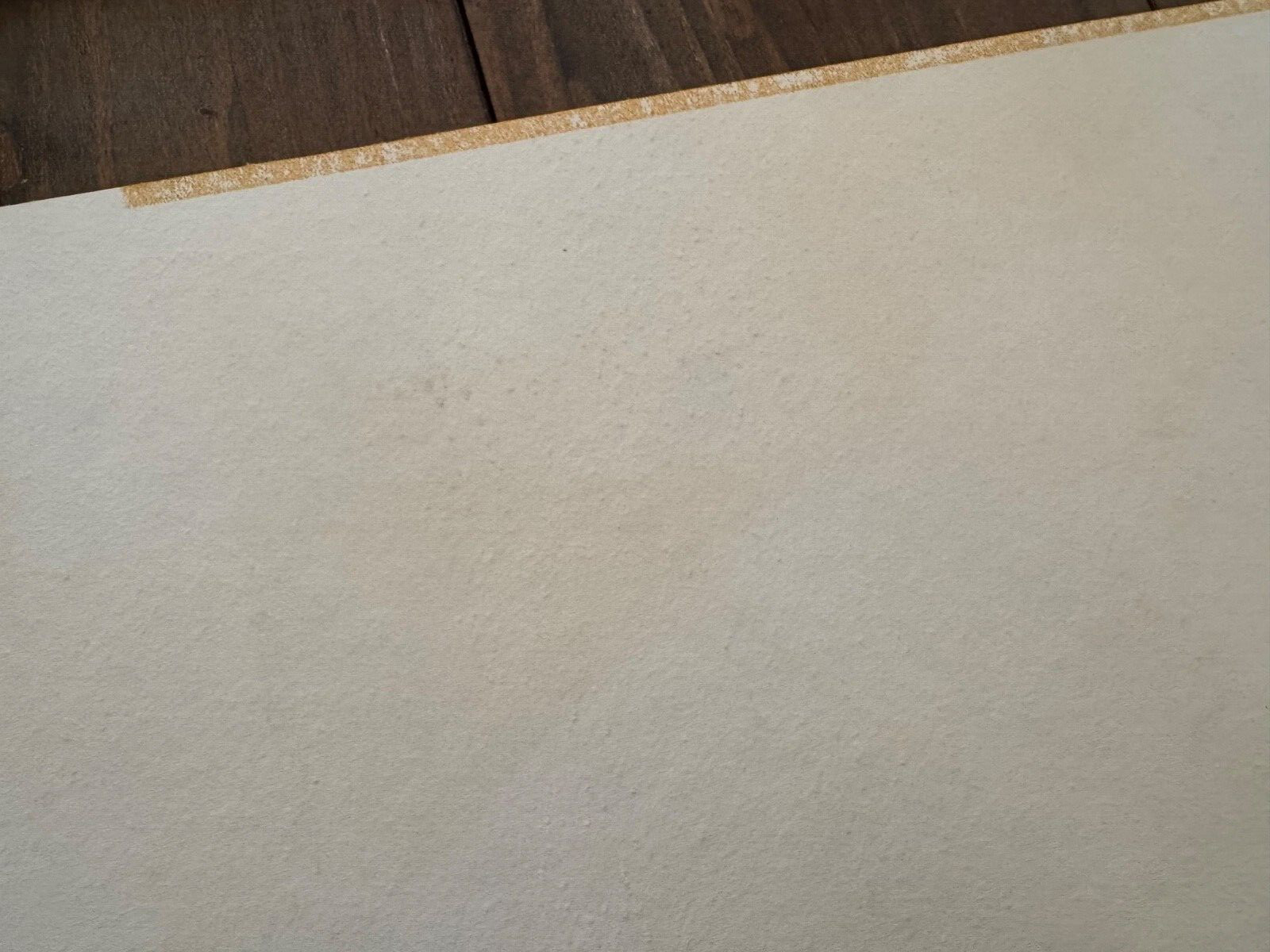 MEL KISHNER SABINO CANYON ORIGINAL SIGNED WATER COLOR PAINTING ON PAPER 22"X15"