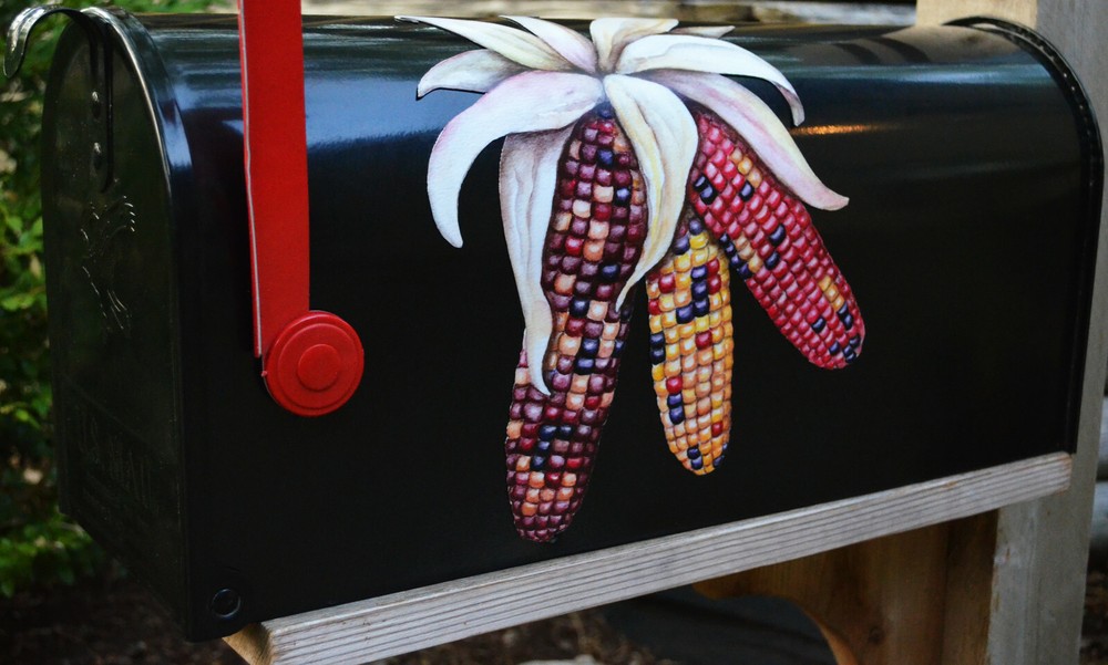 Mailbox Magnet (Partial Cover) Colored Corn Maize Corn Stalk Fall Autumn Car