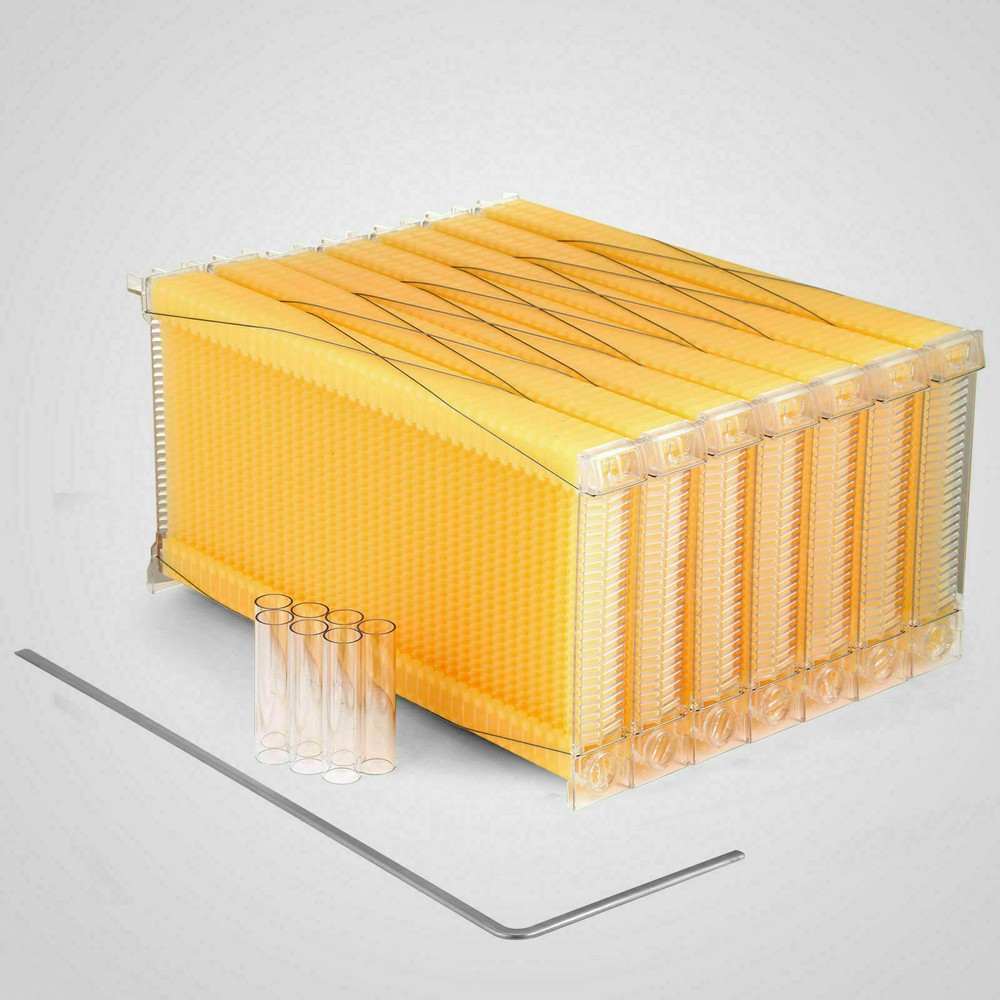 7Pcs Auto Honey Beekeeping Comb Beehive Frames Bee Hive Frames For Beehive Box