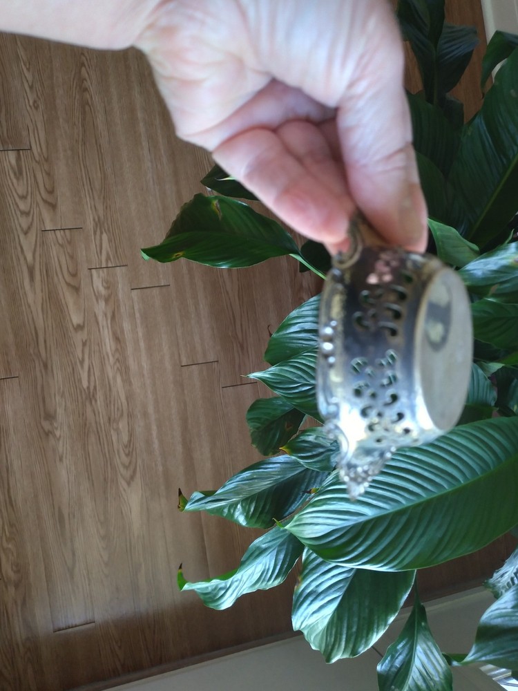 Gorham Sterling Silver Pattern 4780 1900-1940 .925