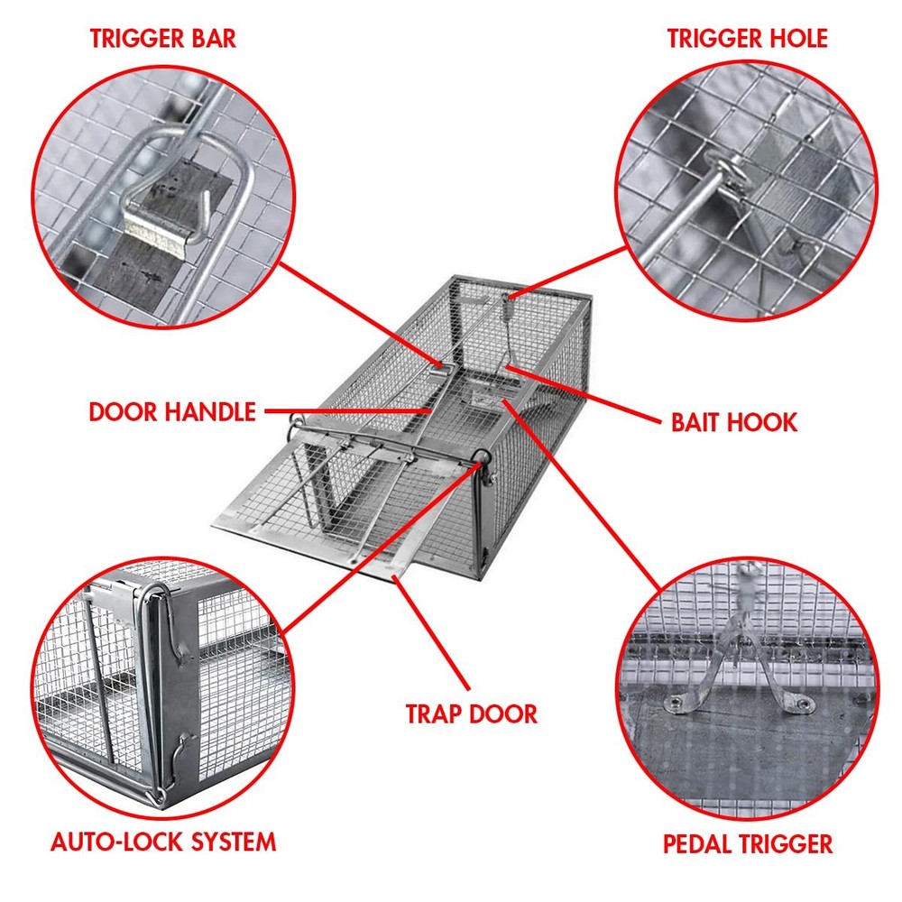 Chipmunk Trap -2 Pack, Squirell and Rat Trap Cages That Works, Humane Mouse T...