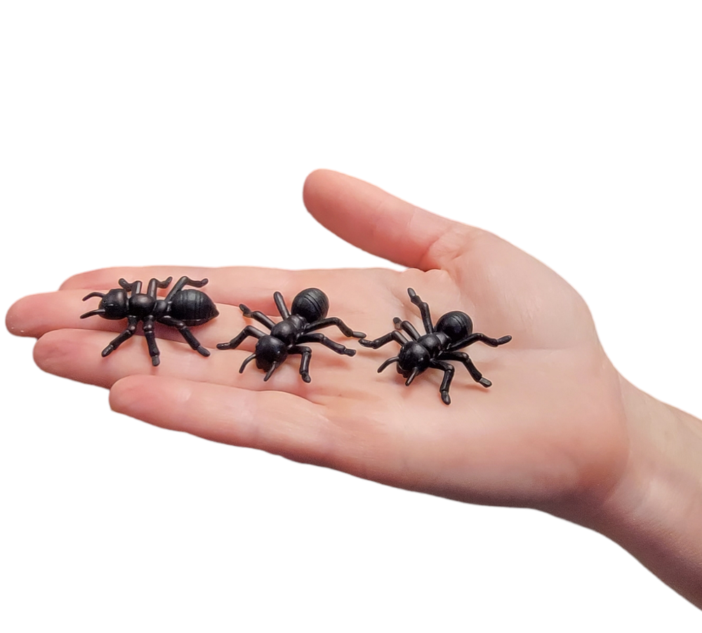 Large Black Carpenter Ant Toys (72 Pack) Plastic. 1.5"