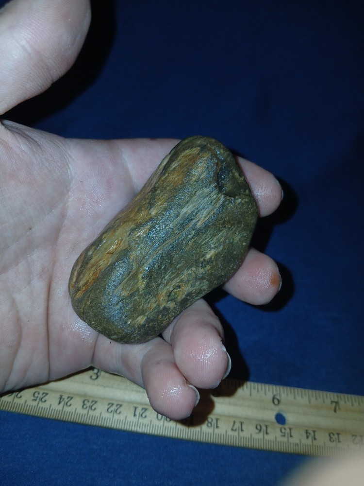 5 oz Agatized Petrified Wood