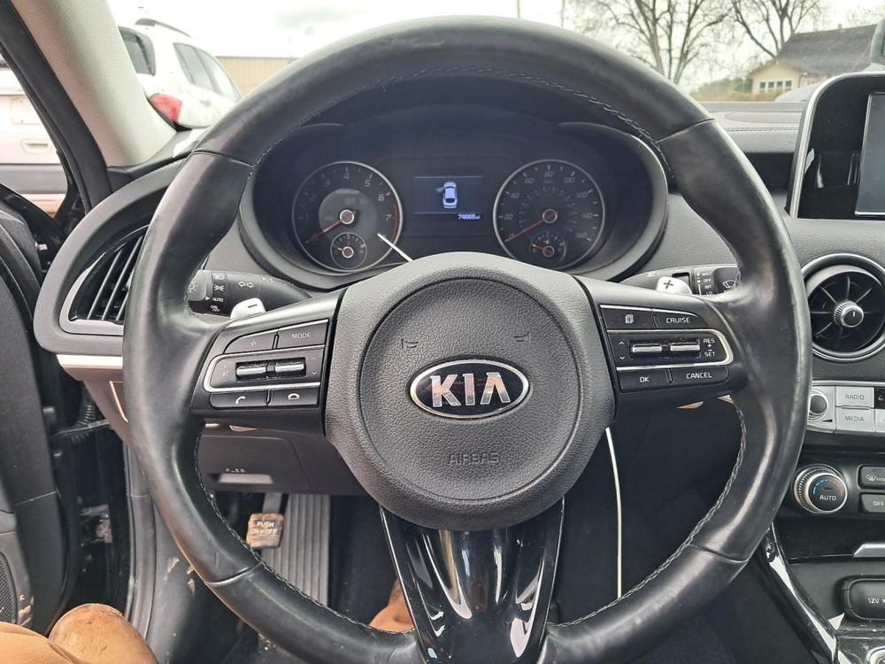 STINGER 2018 Glove Box 4845869