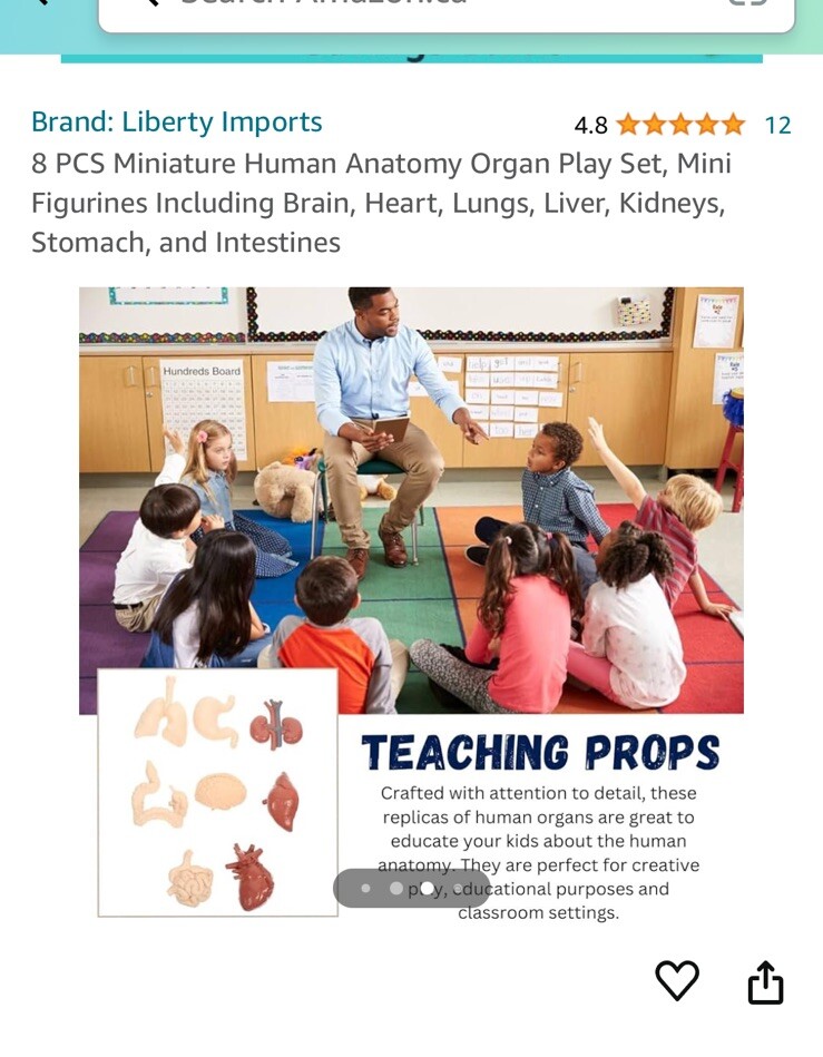 Aerospace Architecture: 8 Pcs Mini Human Anatomy
