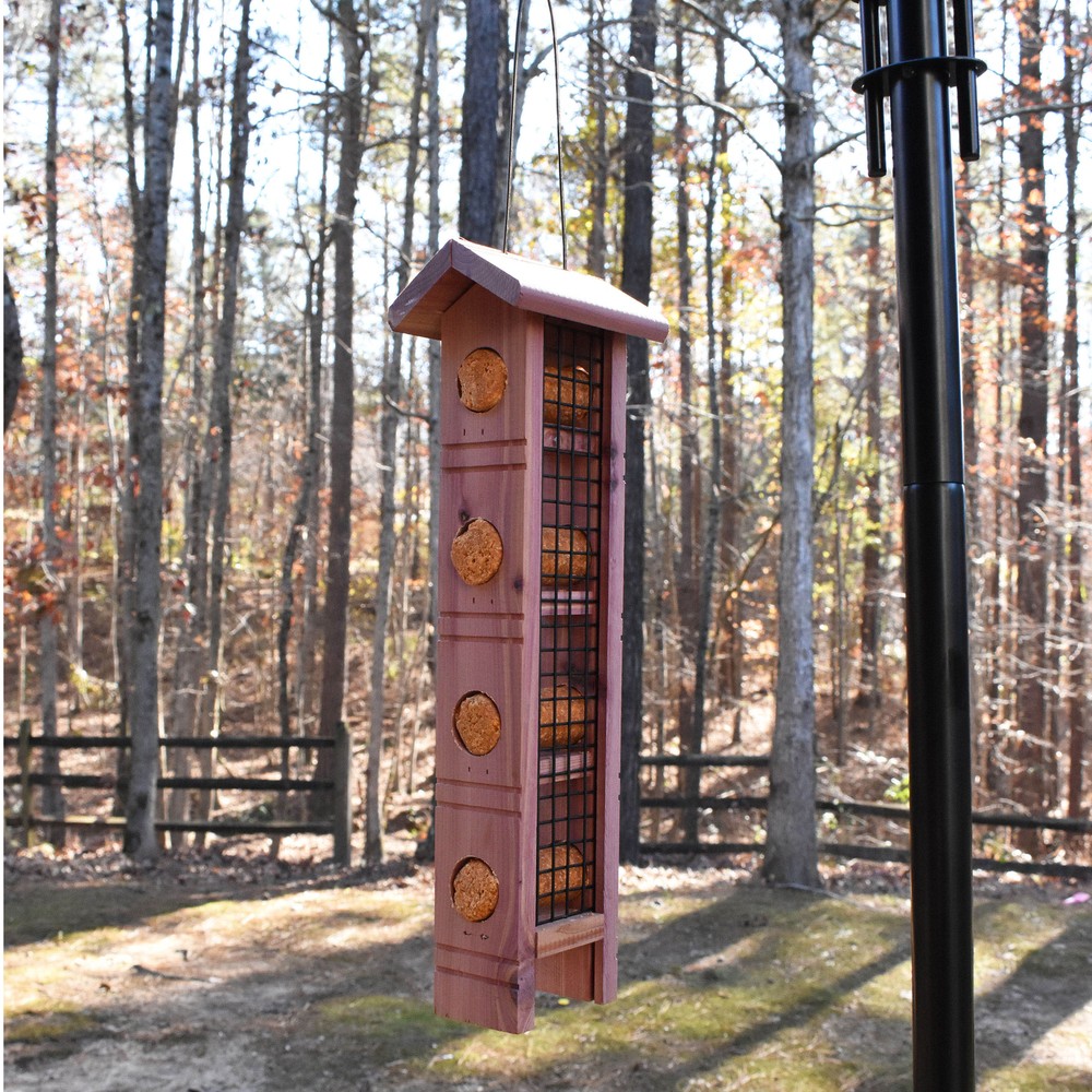 Red Wild Bird Suet Feeder, 4 Plug Capacity
