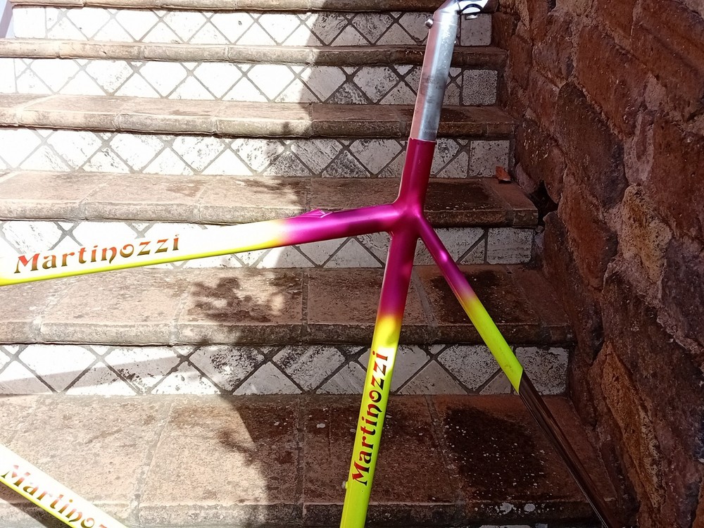 Moser Leader Ax Evolution Vintage Campagnolo Seatpost Fork Frame