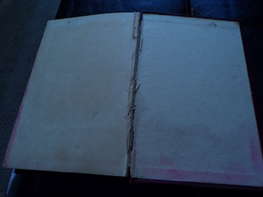 1919 What the "Boys" Did Over There by "Themselves" WWI Allied Overseas Stories