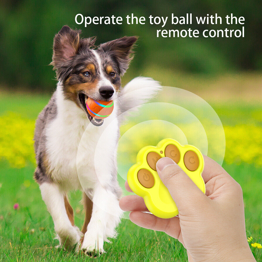Peppy Pet Ball for Dogs with Remote Control Interactive Dog Ball Toy LED Flash
