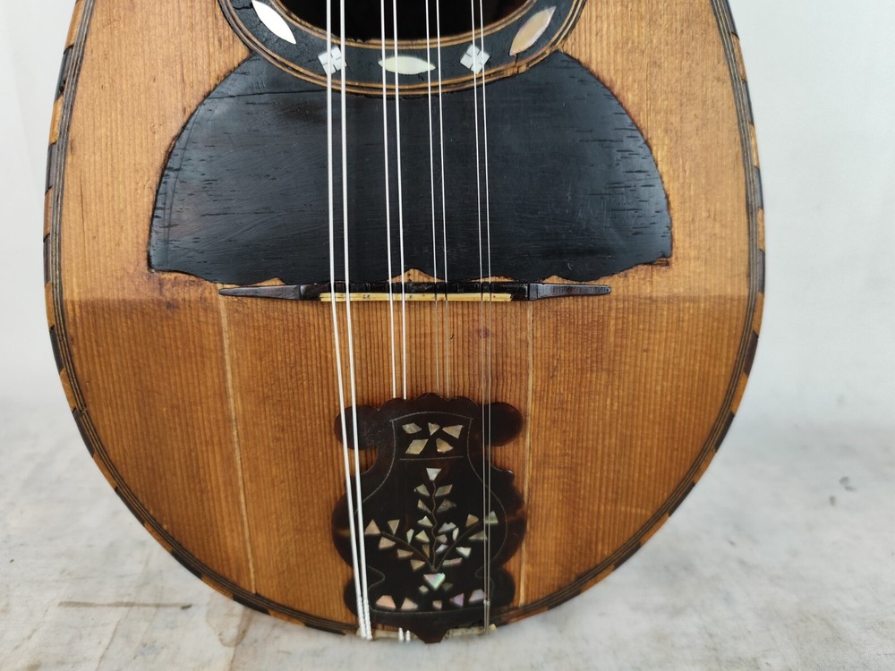 Mandolin 4/4 Alfonso Moretti 1915 Naples 曼陀林 만돌린マンドリン