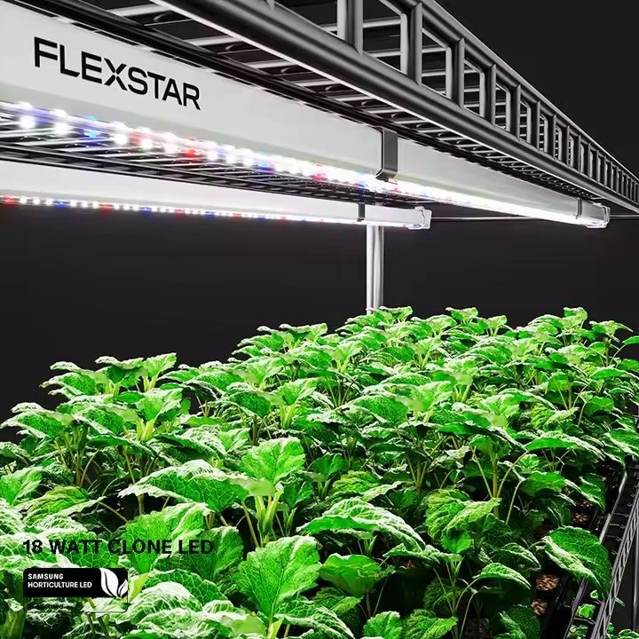 Flex Star 18W Clone LED Light 2 Strips Per Pack