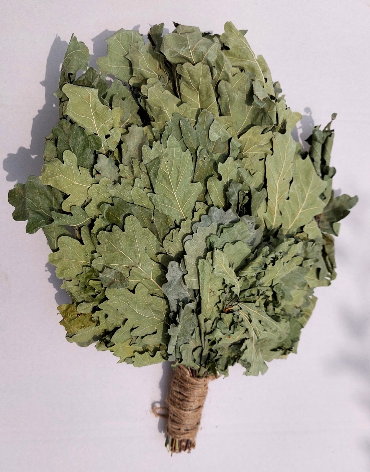 18st Oak brooms+herbs sauna banya venik whisks Eiche eco 2025 Ukrainian free shi