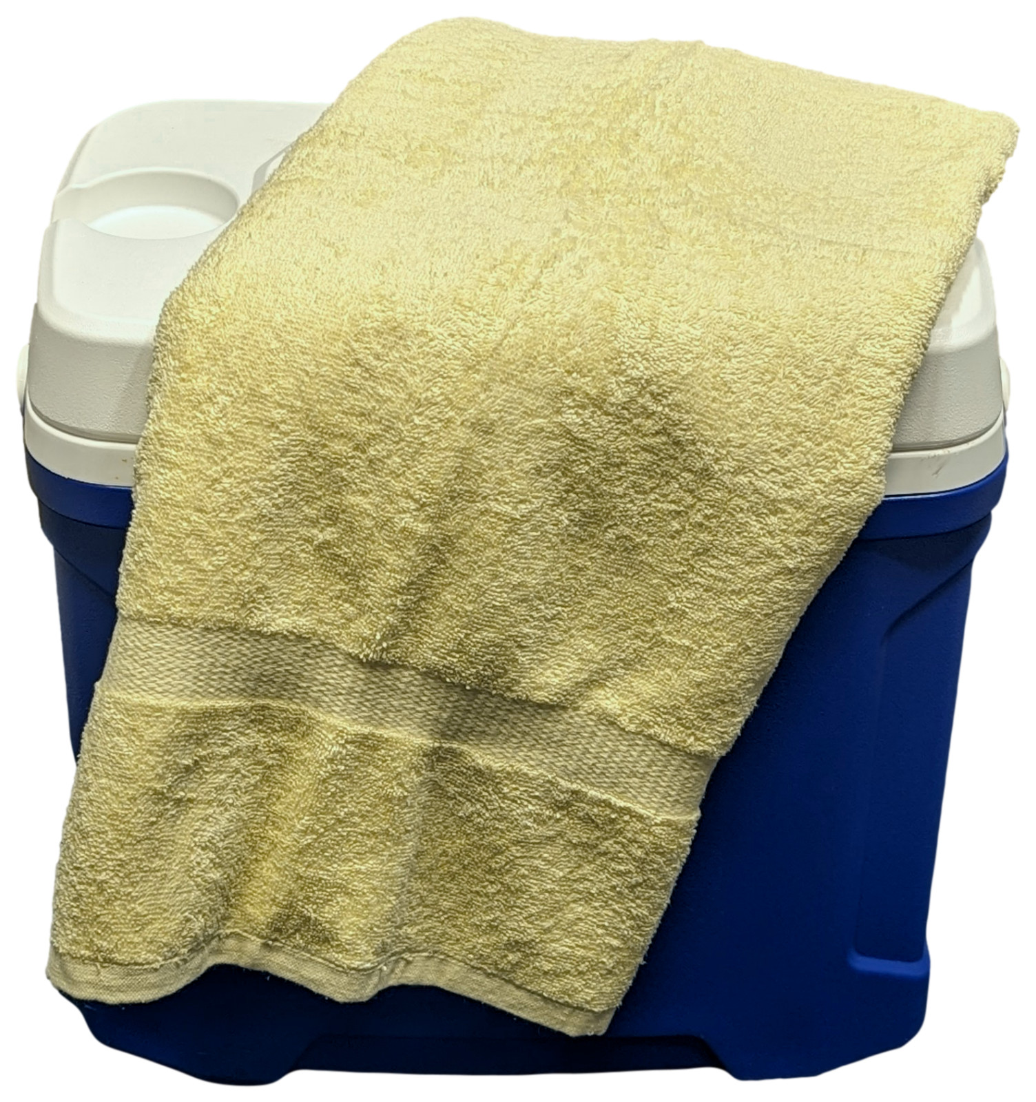 100% Cotton Hotel & Spa Pool Beach Towels 36x68 430GSM Solid Pineapple