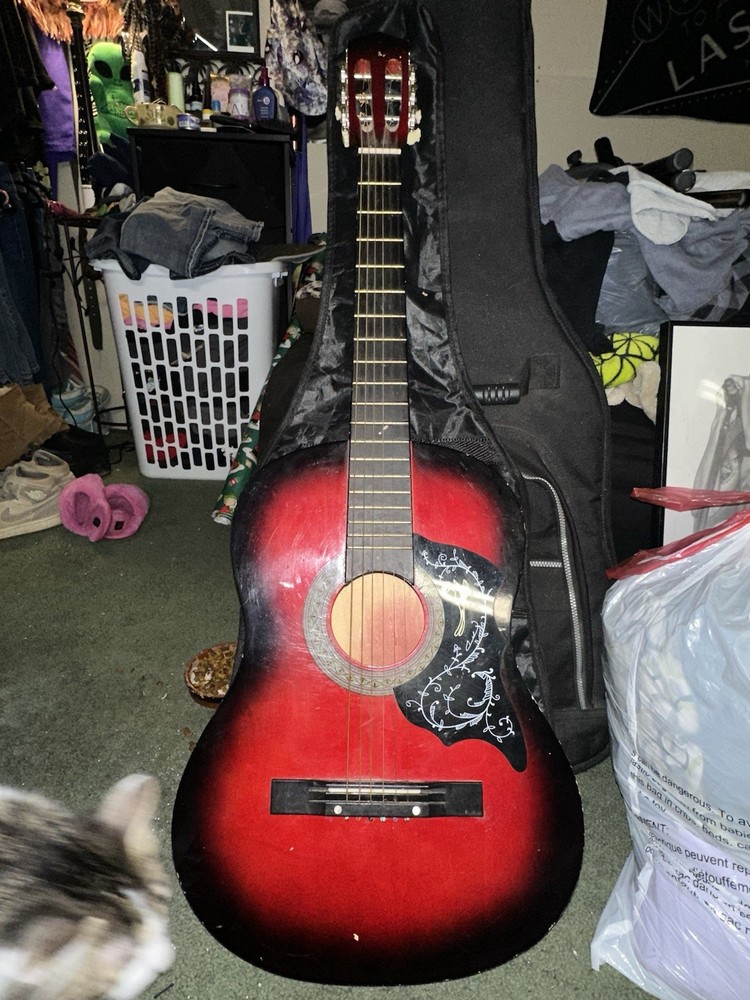 acoustic guitar