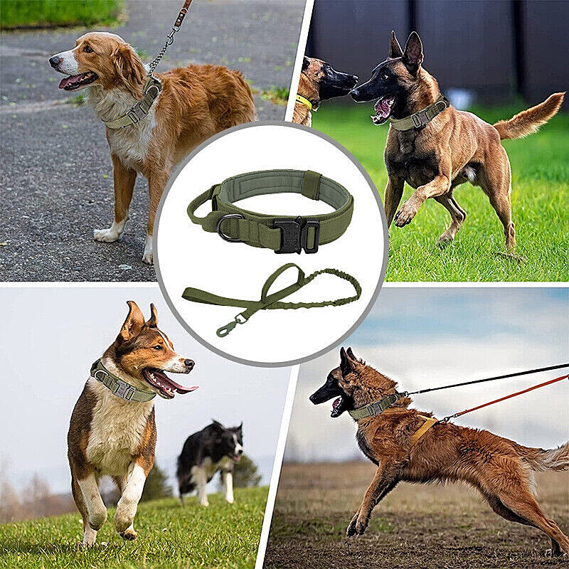 Leash + Collar Heavy Duty K9 Tactical Training Pet Dog Metal Buckle M, L, XL New