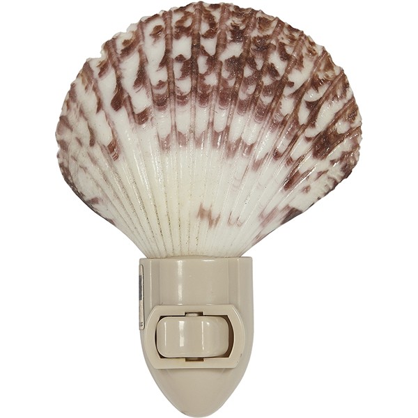 Assorted Pecten Nobilis Boxed LED Night Light