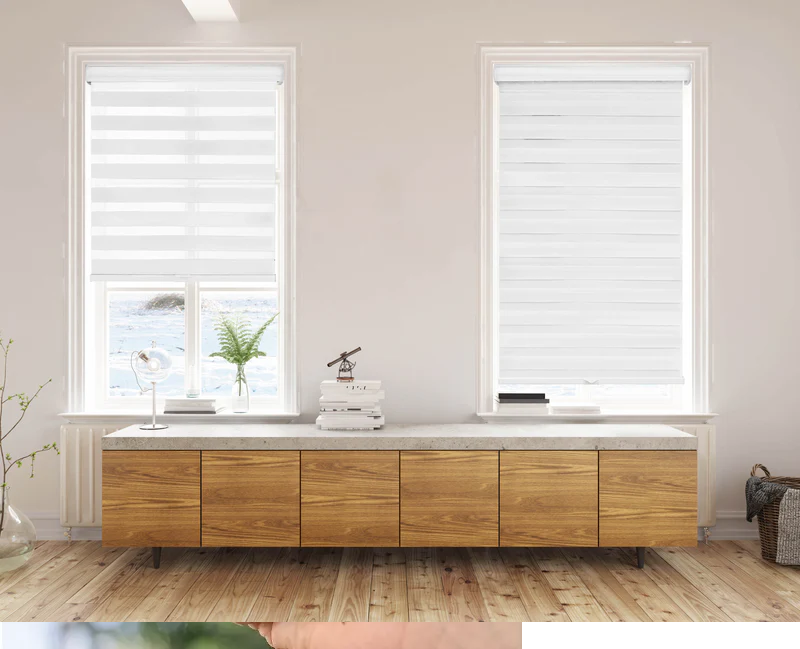 Chicology Basic Arctic Light Filtering Dual Layer Zebra Roller Shade 52"x72" 21C