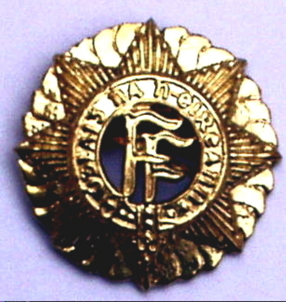 IRISH VOLUNTEERS CAP BADGE 1913-1923