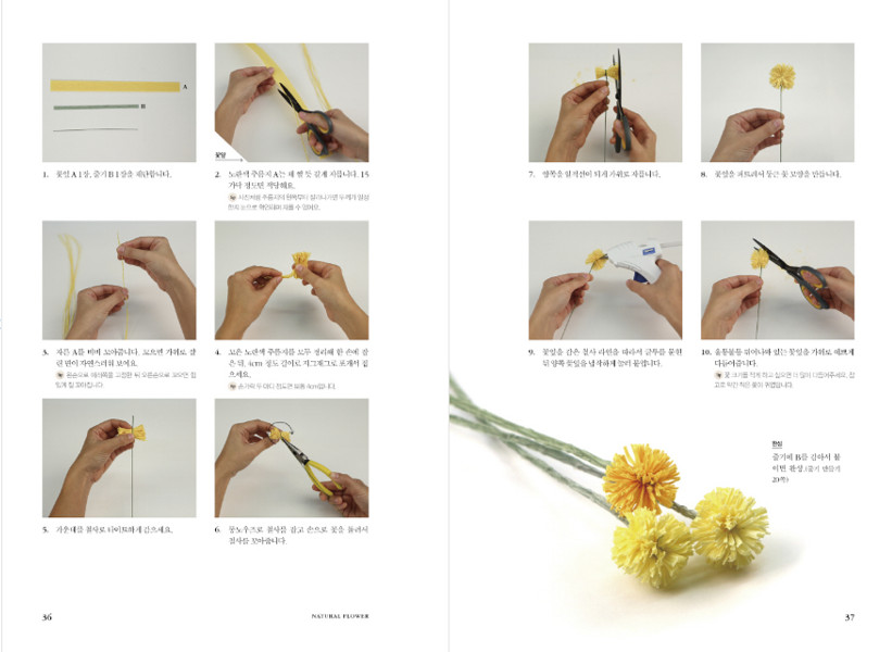 Paper Flowers Making - Korean Guide 페이퍼 플라워를 추천합니다