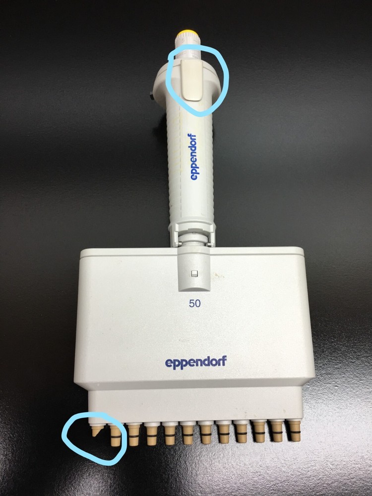 Eppendorf 12 Channel Pipette 50uL