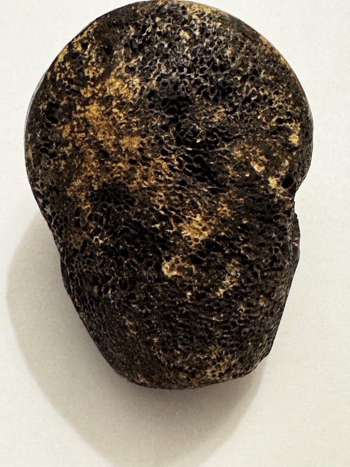 Oddity Hand Carved Tibetan Style Skull Bead Pendant Amulet Charm 2.5”