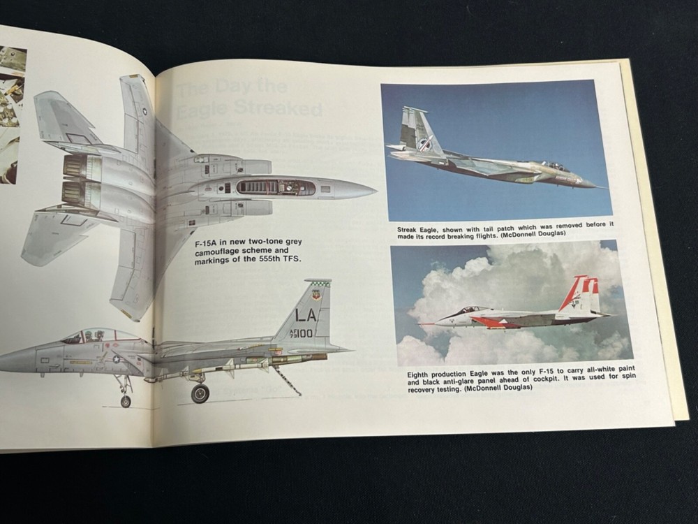 F-15 Eagle In Action Book