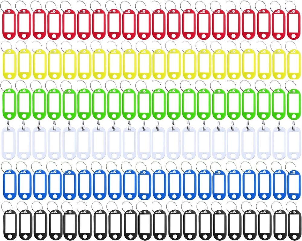 120 Pack Plastic Key Tags with Label Window ID Tag & Split Ring Keychain6 Colors