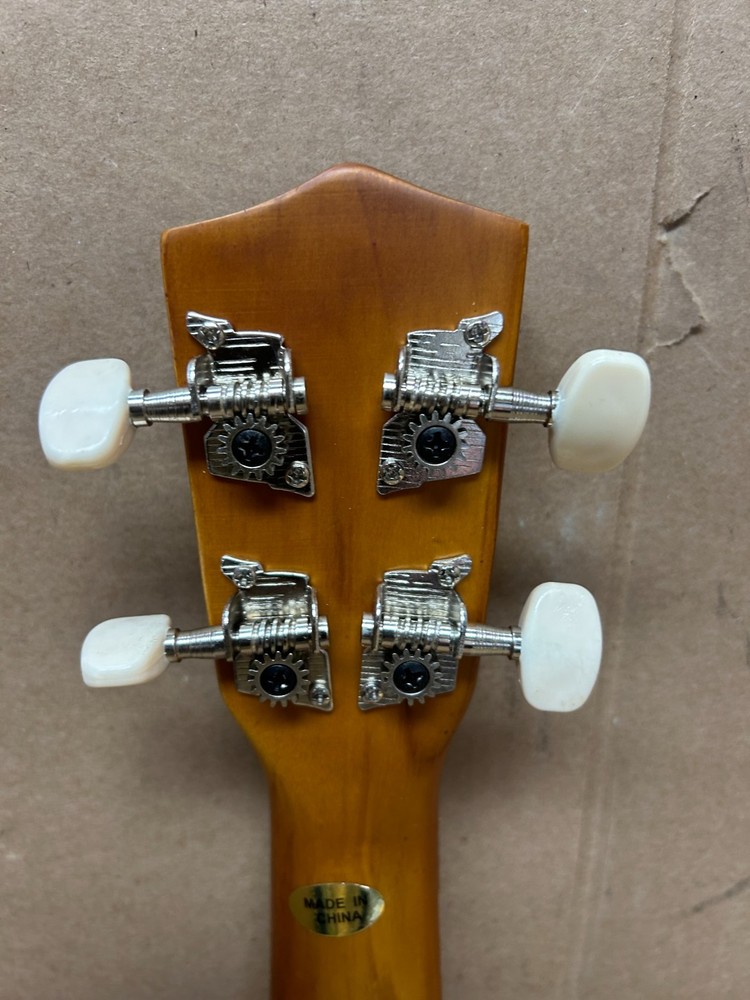 Teach Yourself To Play Ukelele Pack (Strings,Bag,Book)