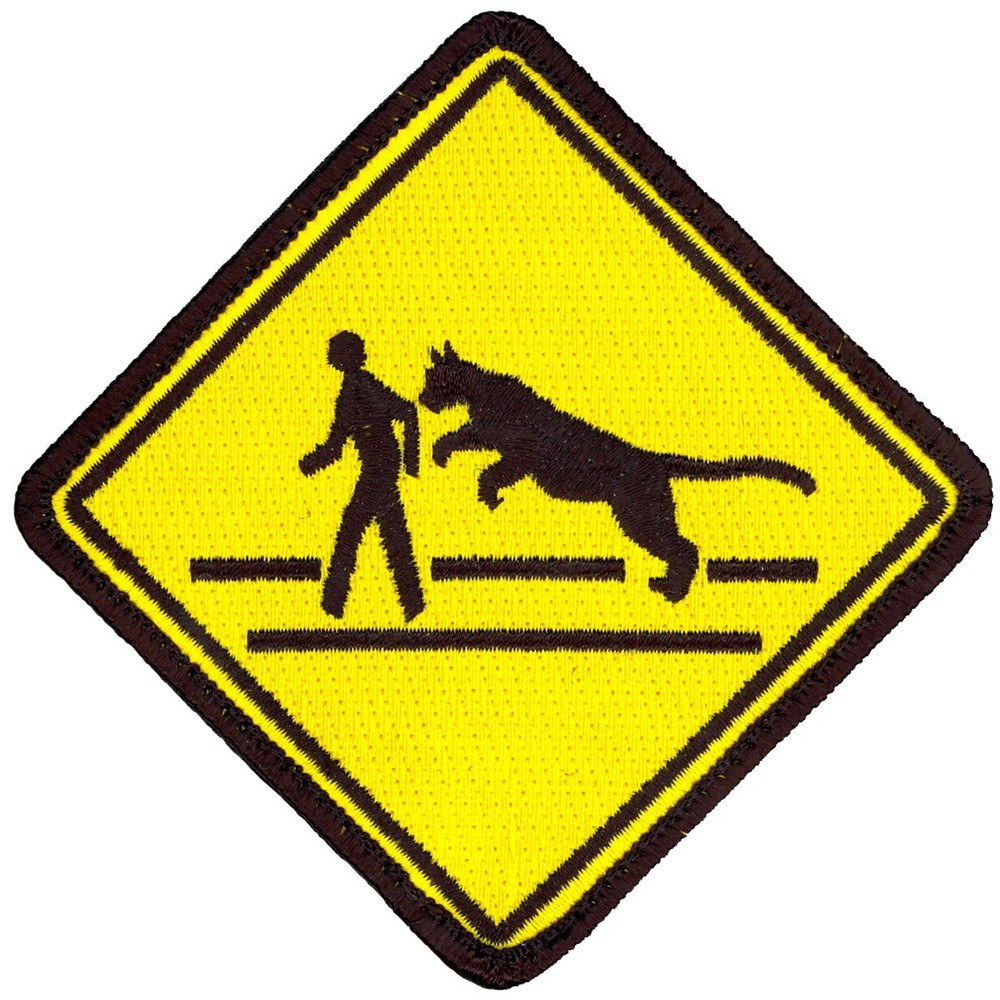 USAF 489th RECONNAISSANCE SQUADRON PATCH - COUGAR CROSSING