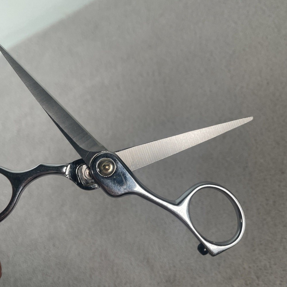 ARIUS EICKERT 5" SCISSORS SHEARS Taiwan Stainless Steel