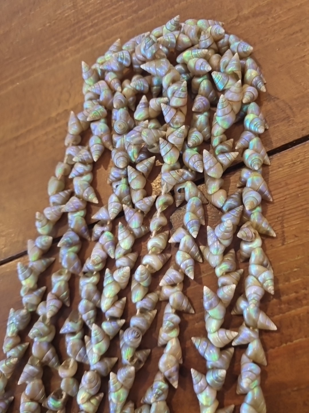 SUPERB VINTAGE TASMANIAN ABORIGINAL MAIREENER SHELL NECKLACE LONG 123cms 1930s