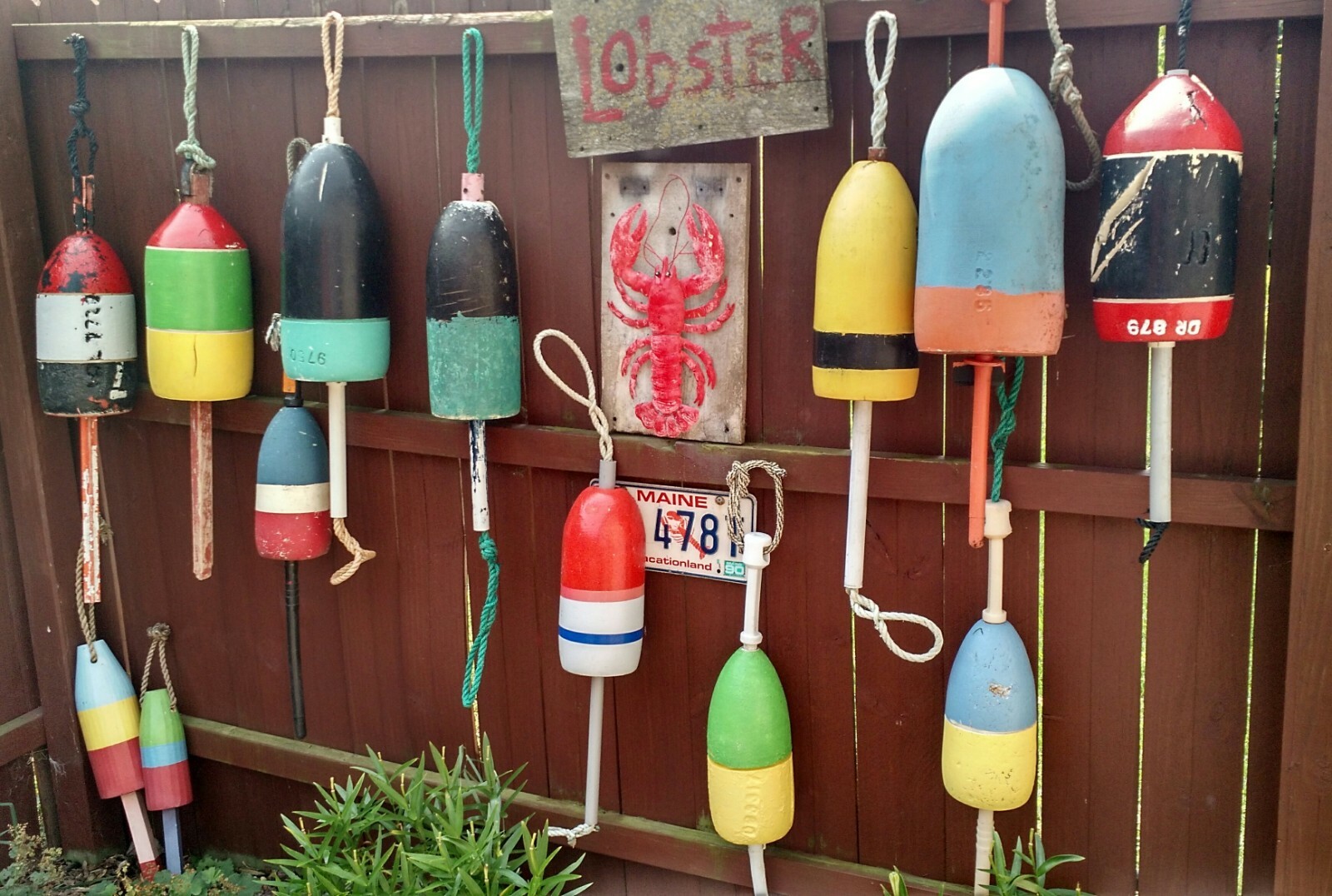 FREE SHIP 196 Maine Lobster BUOY nautical pot bouy float shore crab Lake CAPE