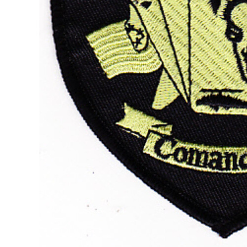 2nd Battalion 2nd Aviation Attack Regiment C Company Patch - Subdued