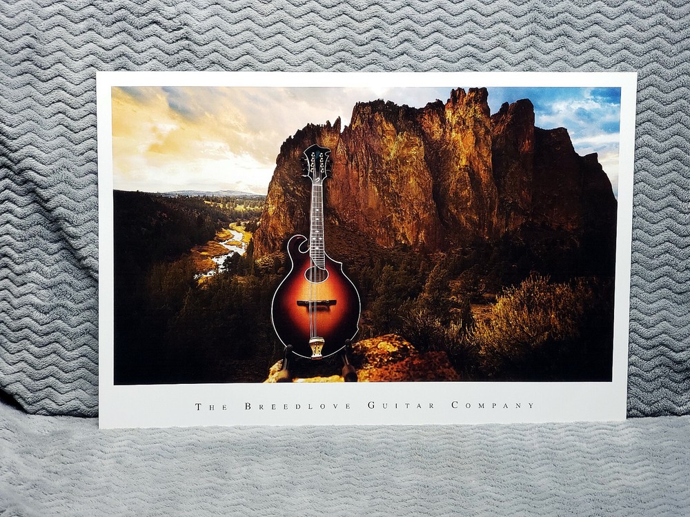 Breedlove Guitars Promo Poster