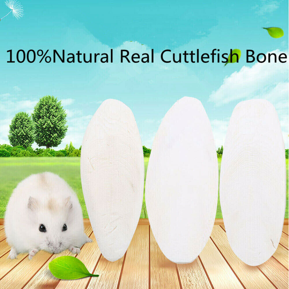 20 PCS Cuttlebone for Birds Parrot Chewing Cuttle Bone For Sharp Beaks USAA