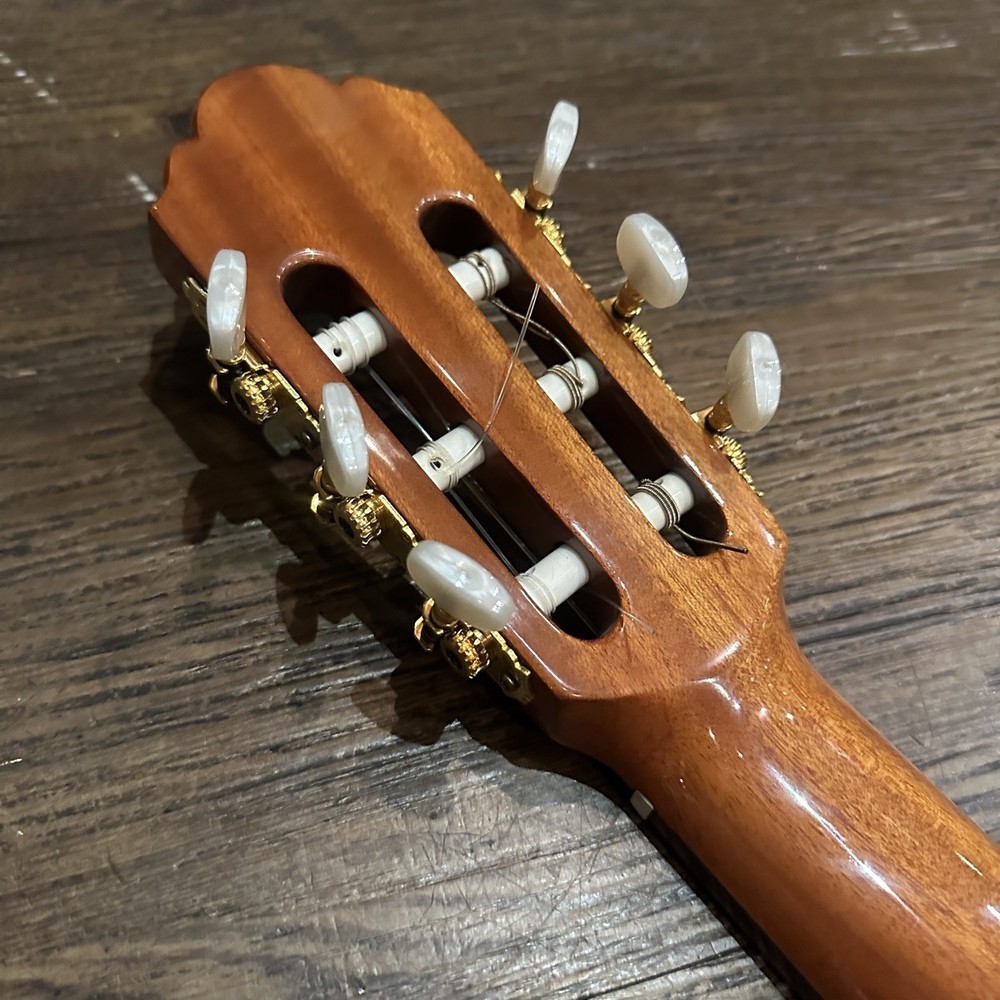 Jose Antonio 6-C Classical Guitar with Case