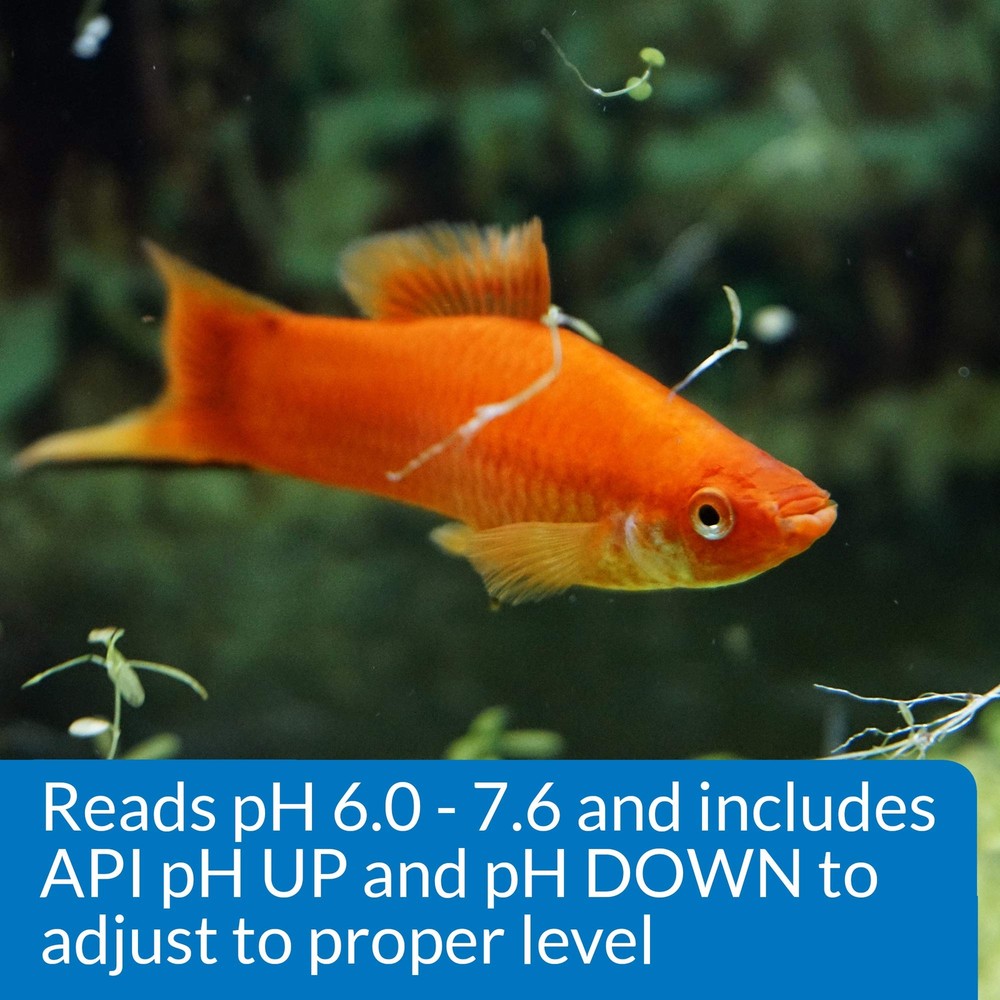 API Freshwater Aquarium pH Test Adjuster Kit 250 Tests Fish Care Solution