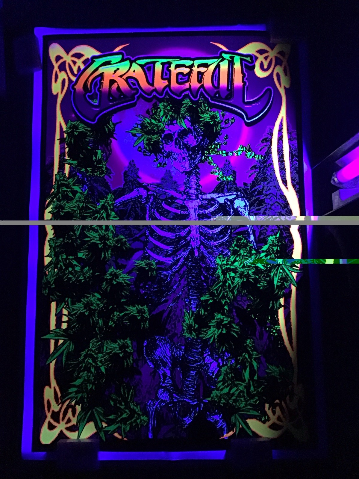 Grateful Dead Weed Skeleton Blacklight Poster