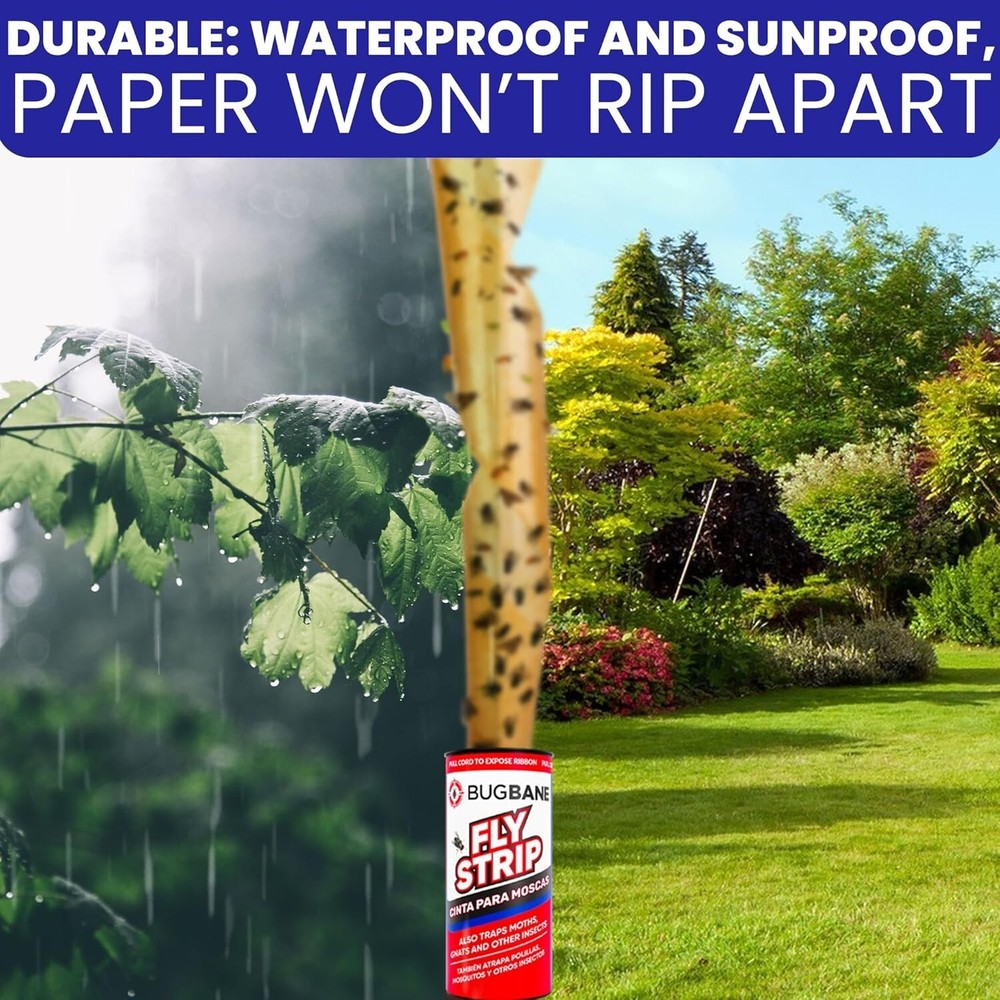 24 Multi-Insect Sticky Traps - Safe & Effective Fly Control for Home & Garden